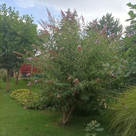 Sobe Masa Subotica Exterior foto