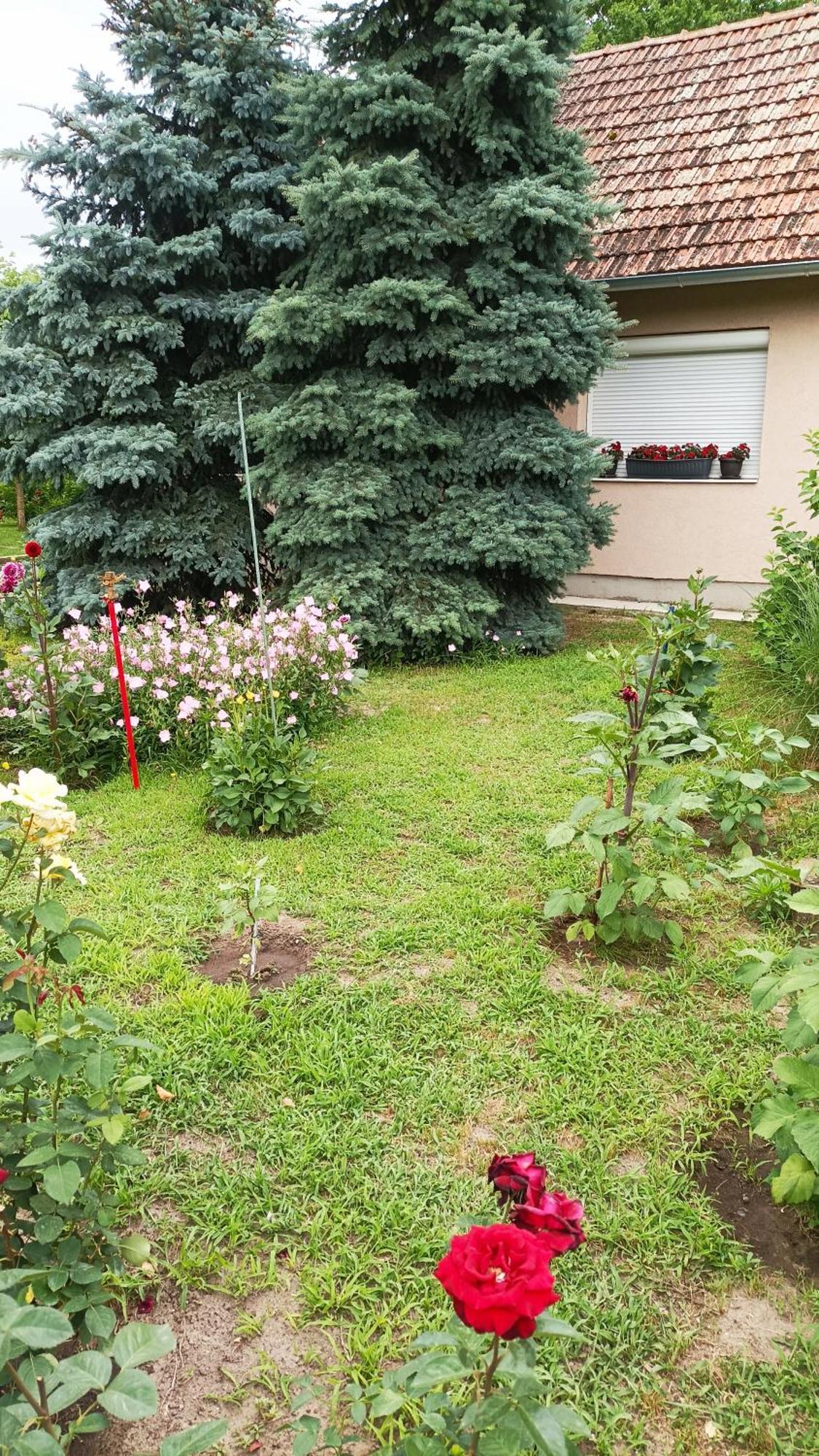 Sobe Masa Subotica Exterior foto