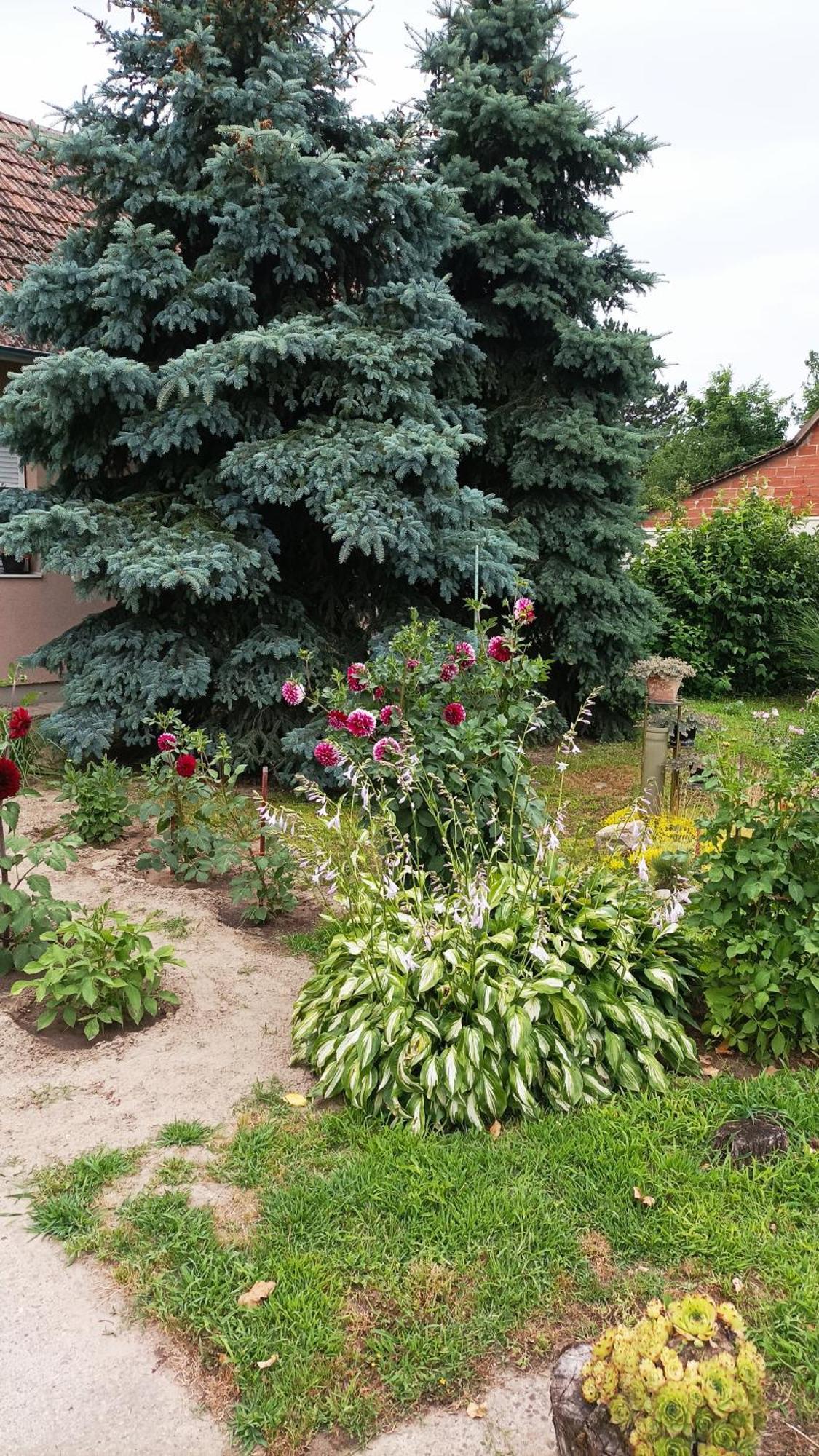 Sobe Masa Subotica Exterior foto