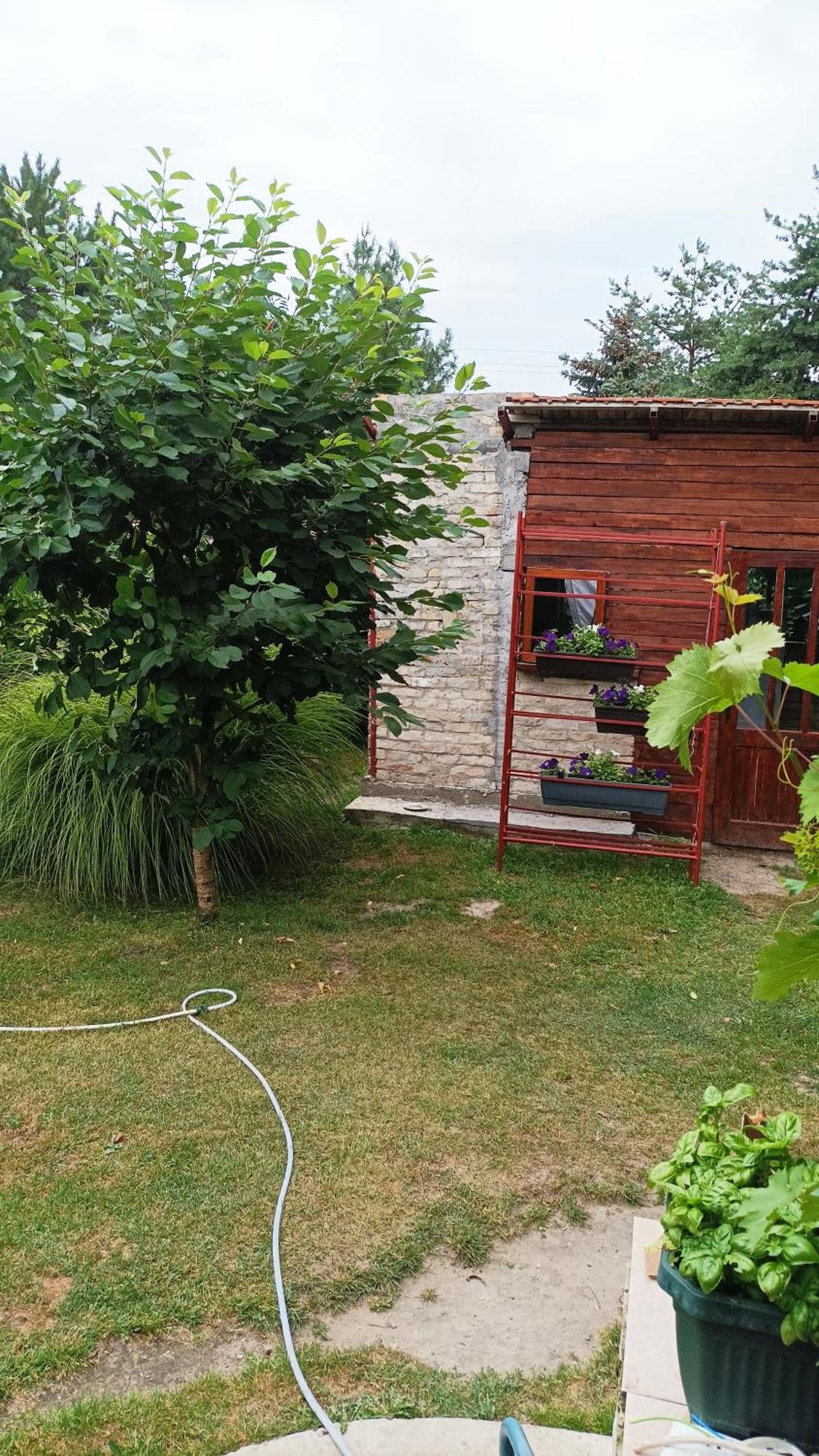 Sobe Masa Subotica Exterior foto